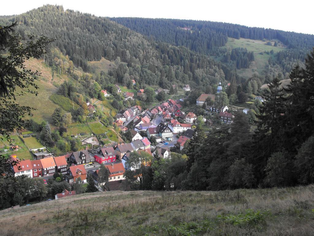 Ferienwohnung Sonnenhuegel Wildemann Exterior photo