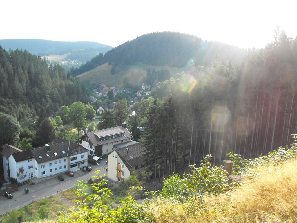 Ferienwohnung Sonnenhuegel Wildemann Exterior photo