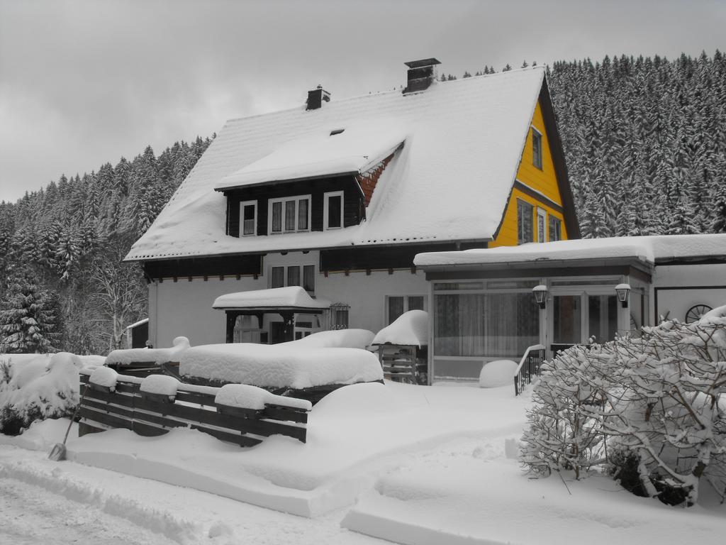 Ferienwohnung Sonnenhuegel Wildemann Exterior photo